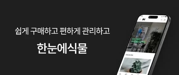 한눈에식물, 1만 종 데이터 기반 식물 관리·구매 플랫폼 운영
