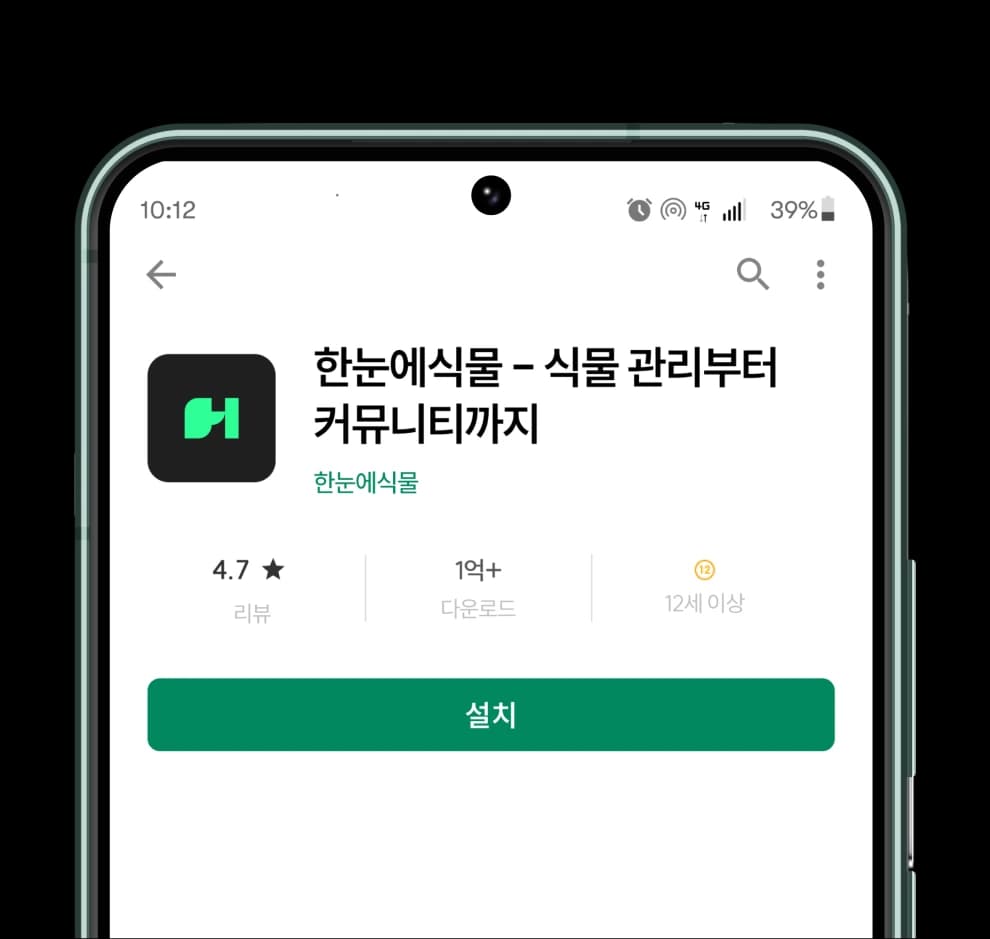 download-google-play